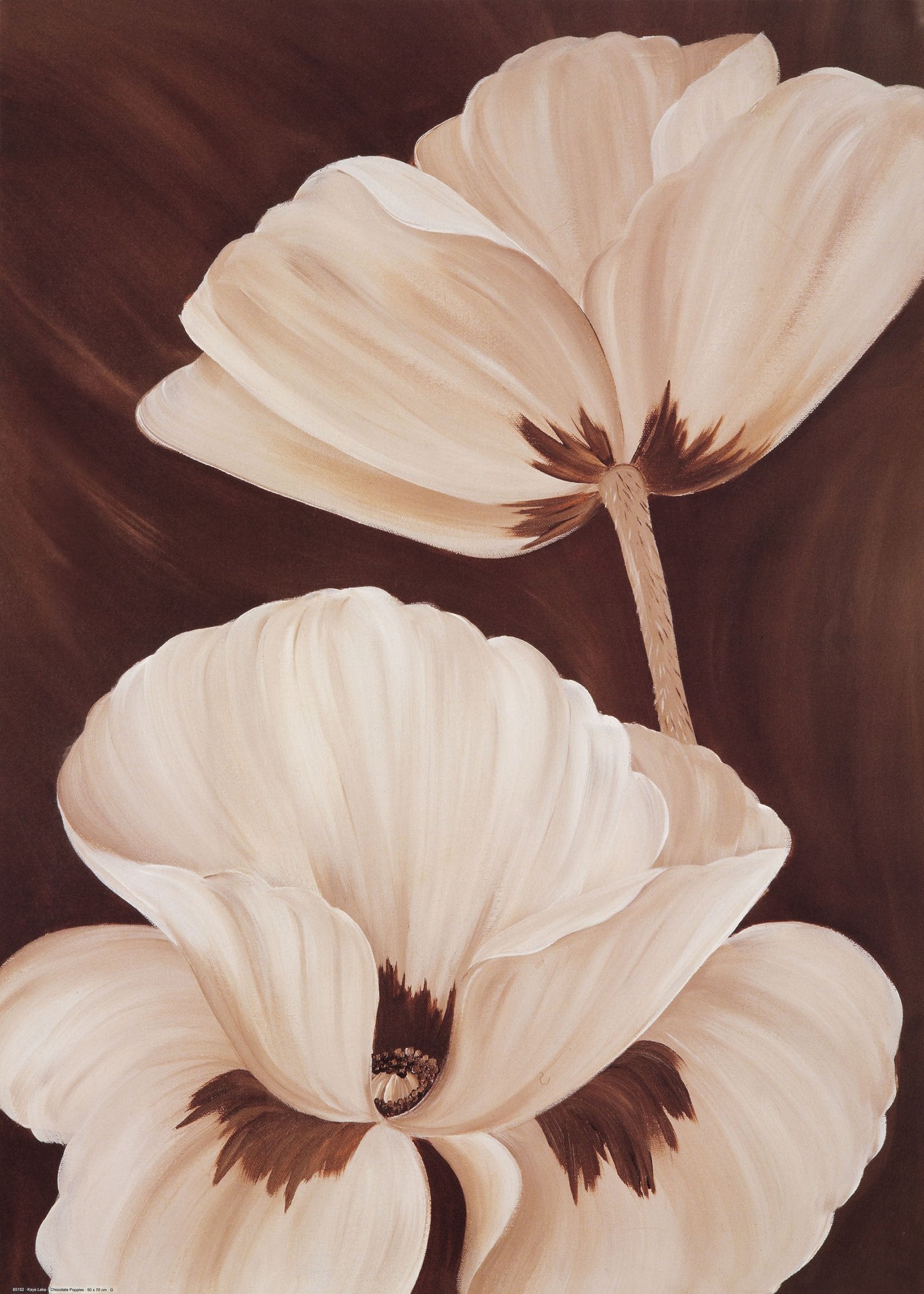 3D Pure White Flowers 1002 Stair Risers Wallpaper AJ Wallpaper