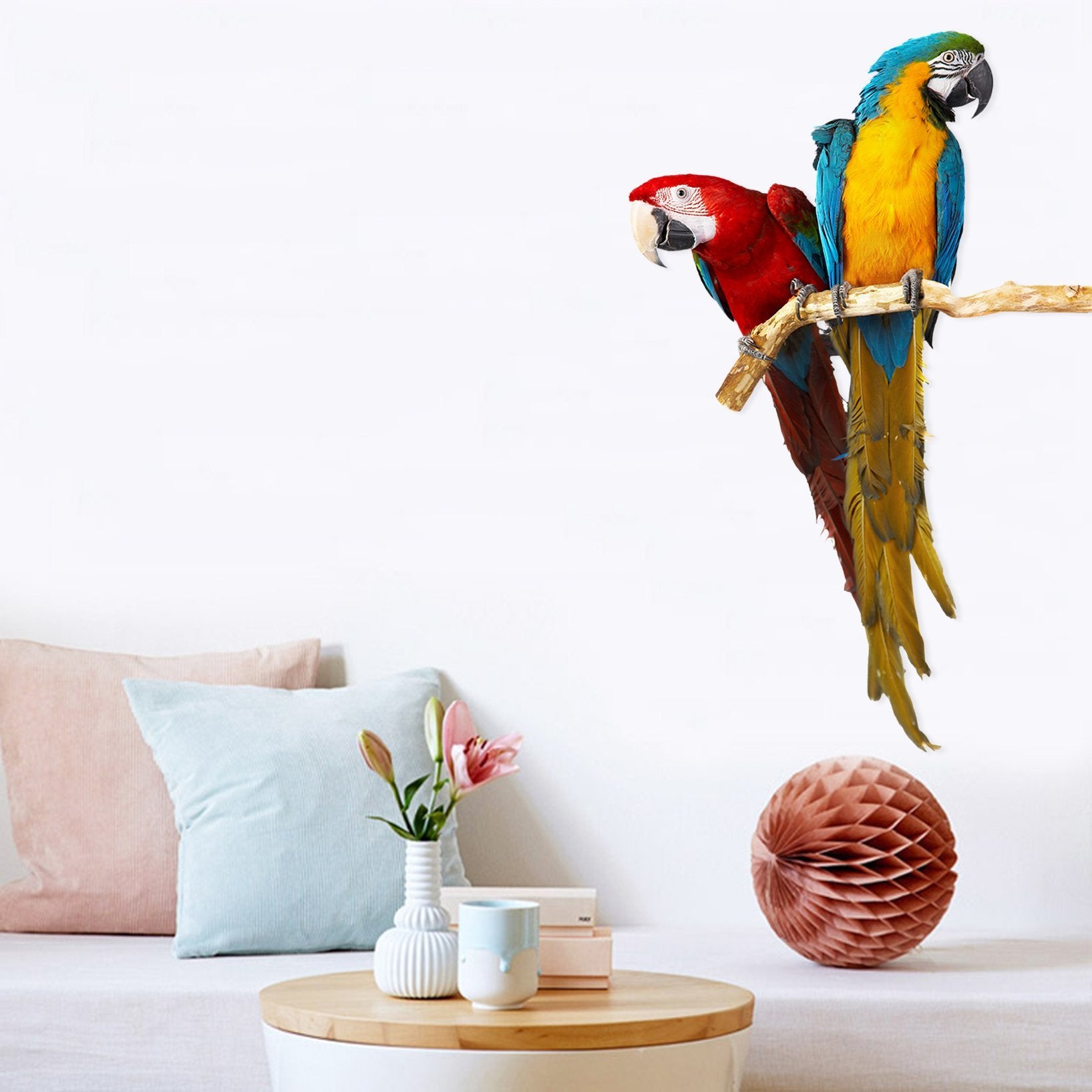 3D Two Parrots 186 Animals Wall Stickers Wallpaper AJ Wallpaper