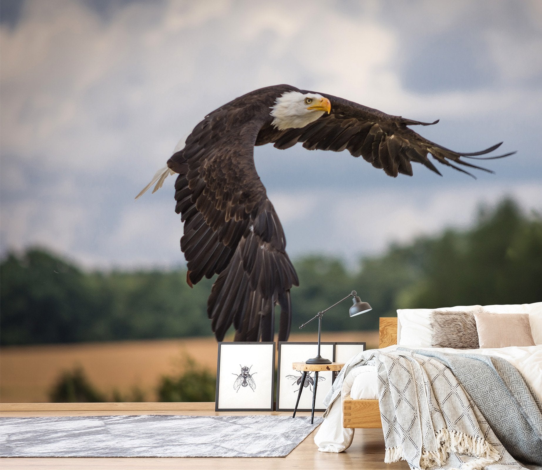 3D Eagle Spreading Wings 575 Wallpaper AJ Wallpaper