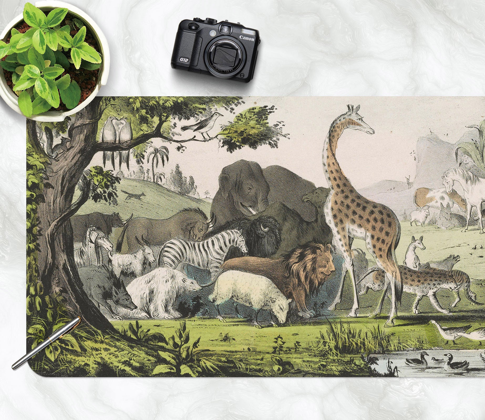 3D Animal Giraffe Elephant 981 Andrea Haase Desk Mat