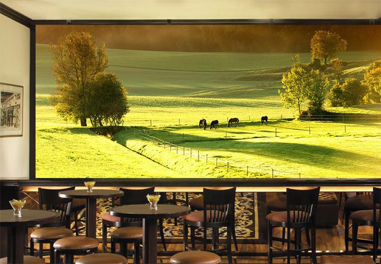 3D Fields Grassland 013 Wallpaper AJ Wallpaper