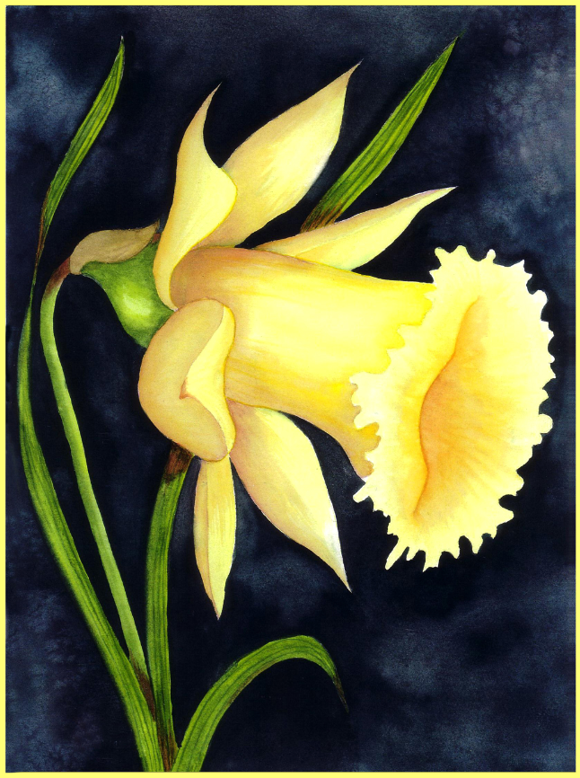 Shooter Flower Wallpaper AJ Wallpaper