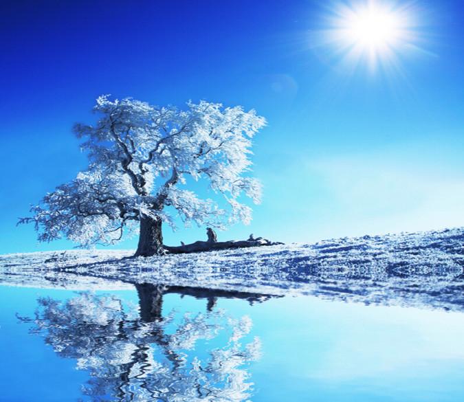 Winter Warm Sun Wallpaper AJ Wallpaper