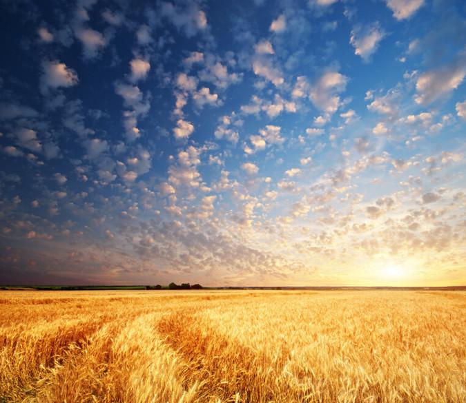 Plain Beautiful Sky Wallpaper AJ Wallpaper