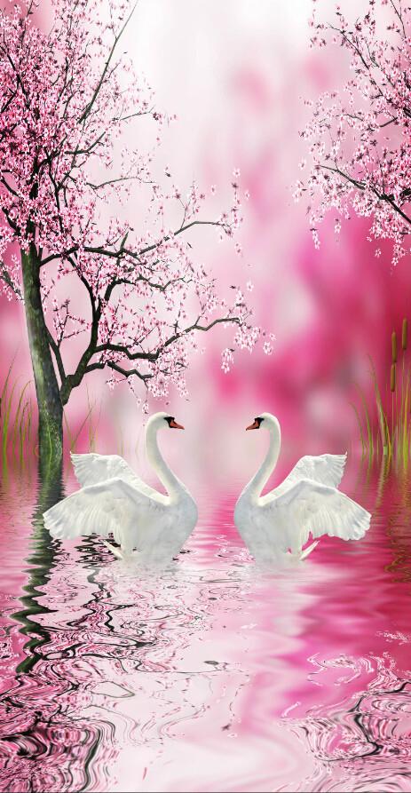 3D Beautiful Flowers And White Swans Wallpaper AJ Wallpaper 1