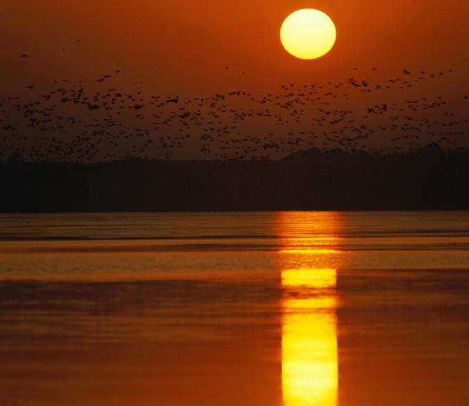 Ocean Sunset 1 Wallpaper AJ Wallpaper