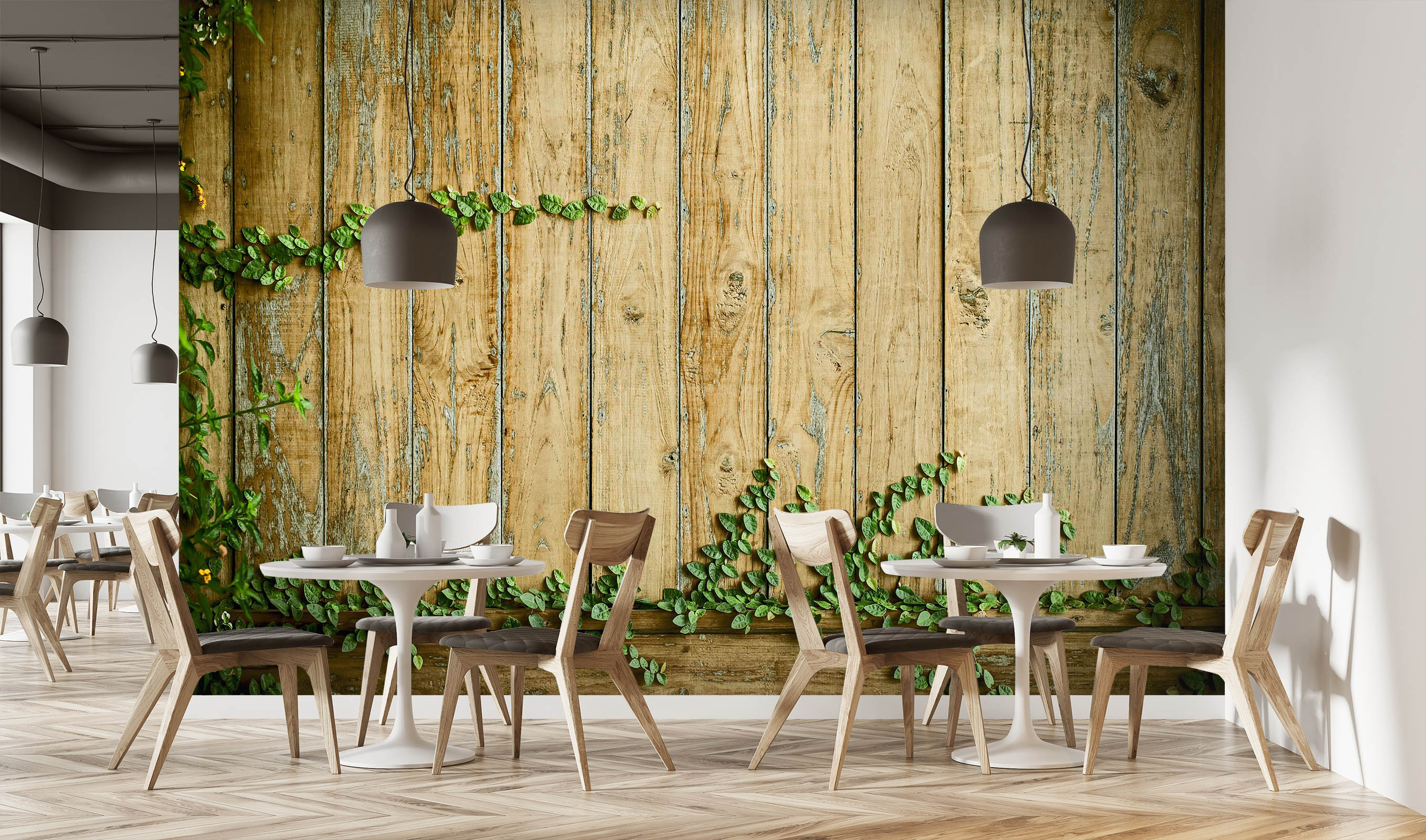 3D Color Stripes 1488 Wall Murals