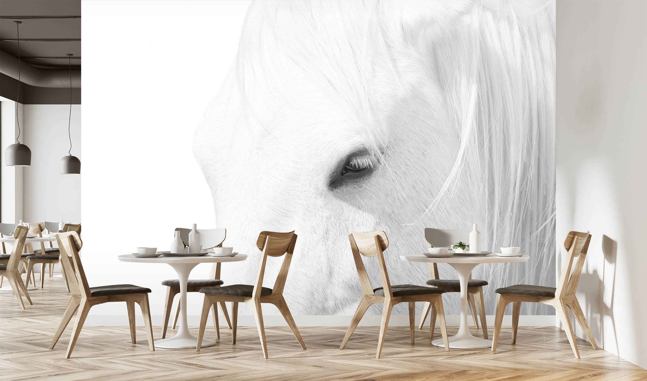 3D White Horse 1452 Marco Carmassi Wall Mural Wall Murals