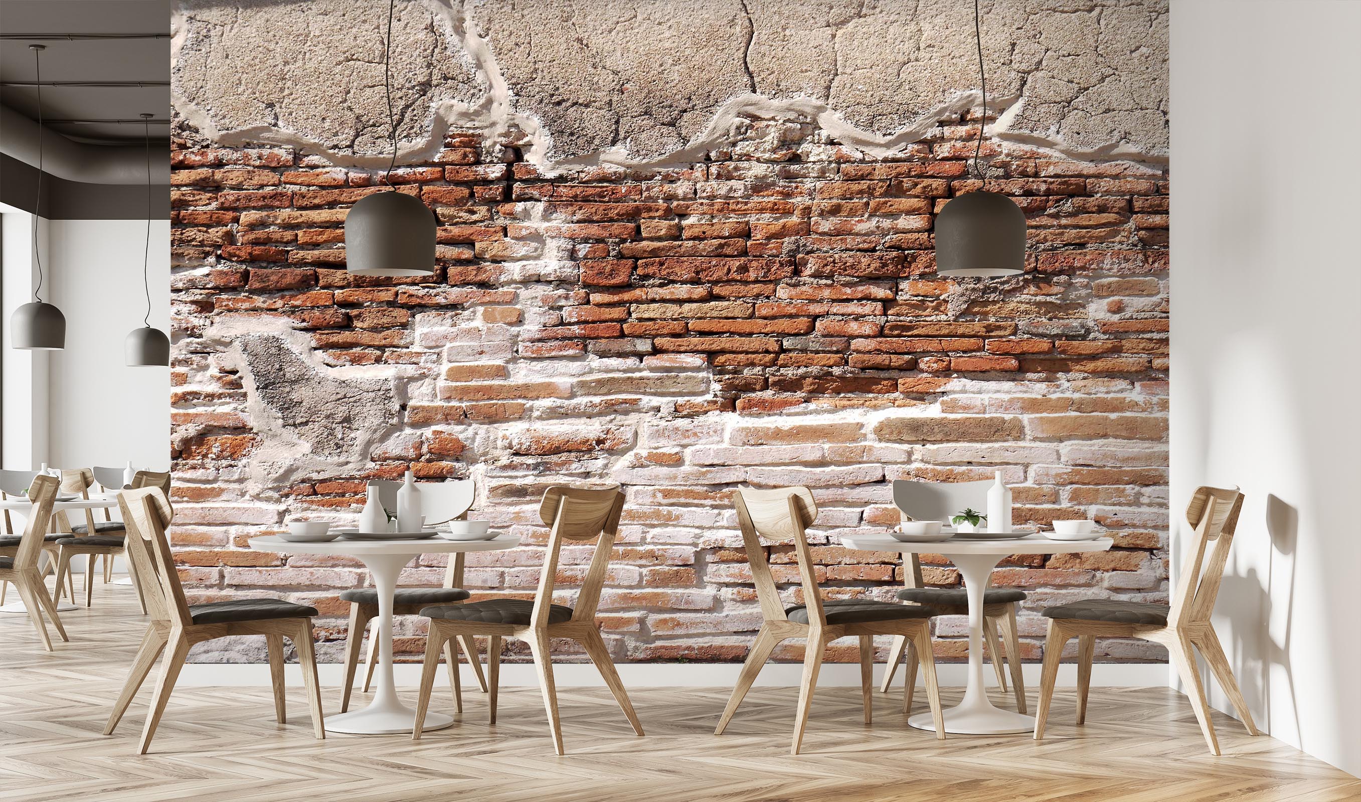 3D Paint Transfer 1508 Wall Murals