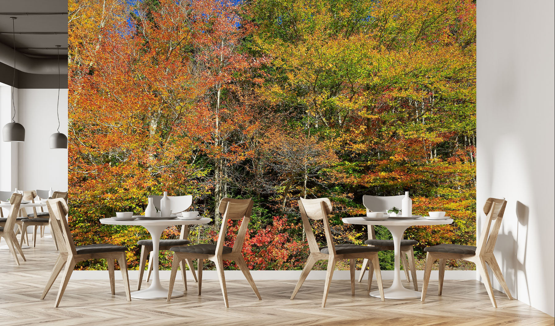 3D Jungle Trees 62094 Kathy Barefield Wall Mural Wall Murals