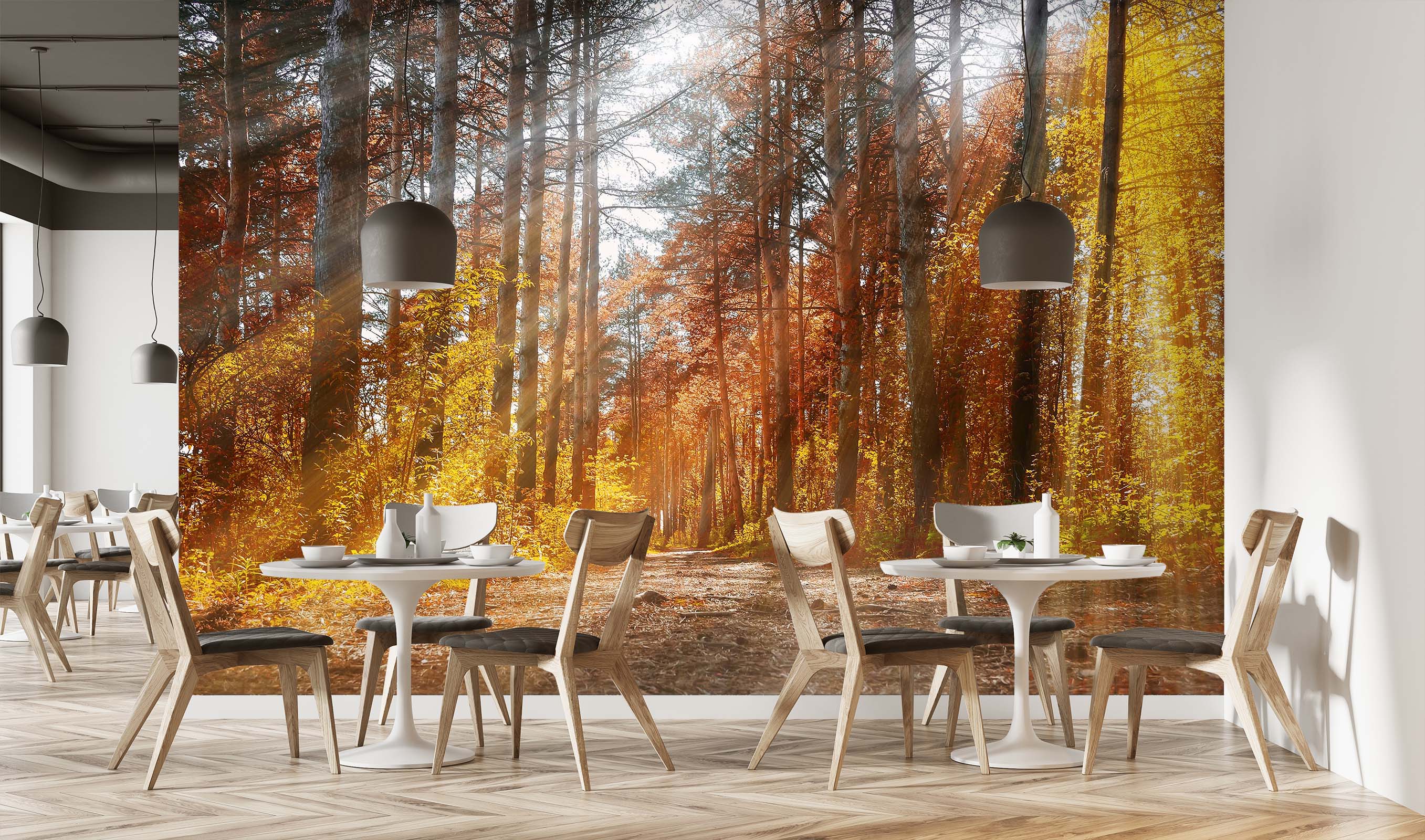 3D Autumn Forest 243 Wall Murals