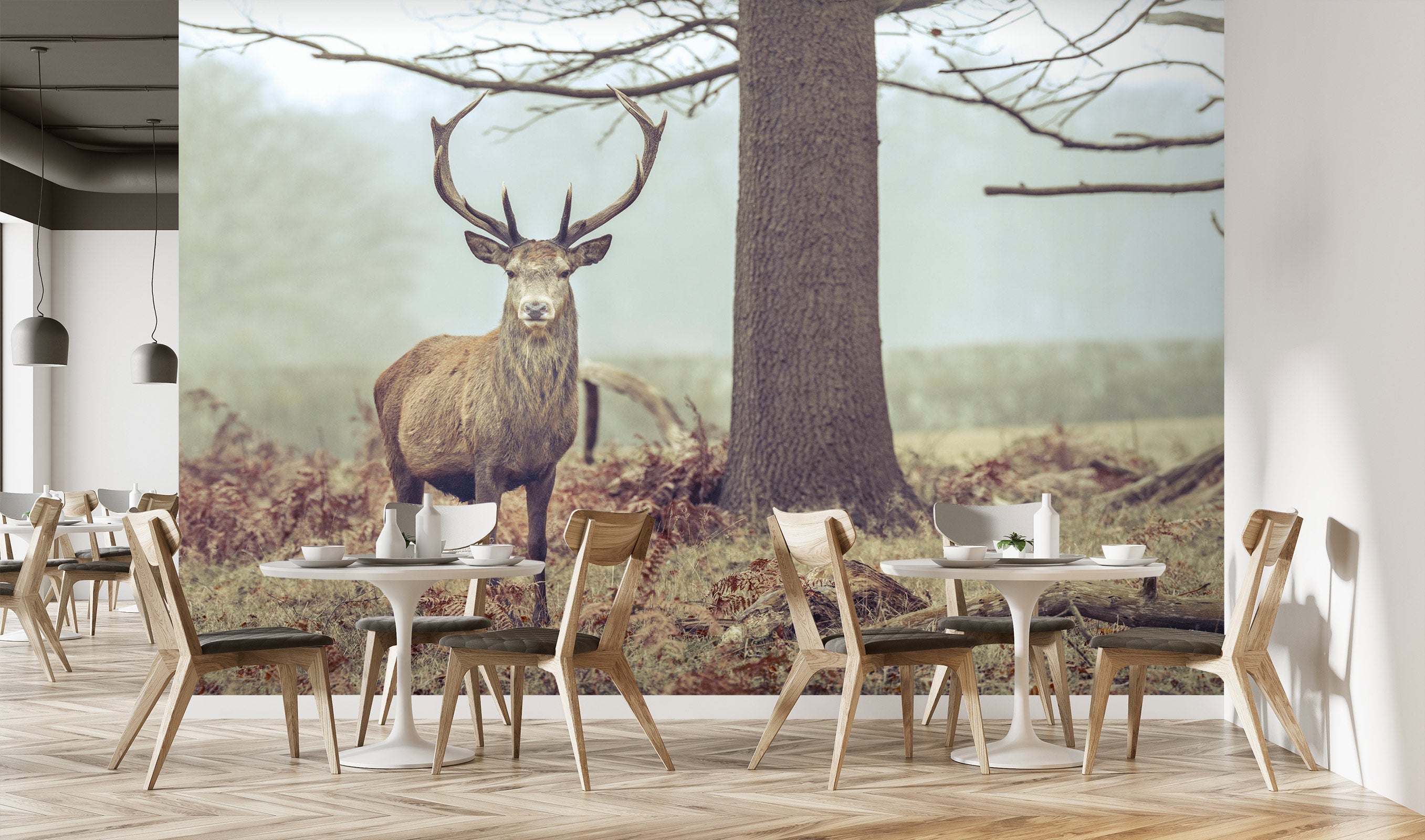 3D Animal Elk 6273 Assaf Frank Wall Mural Wall Murals