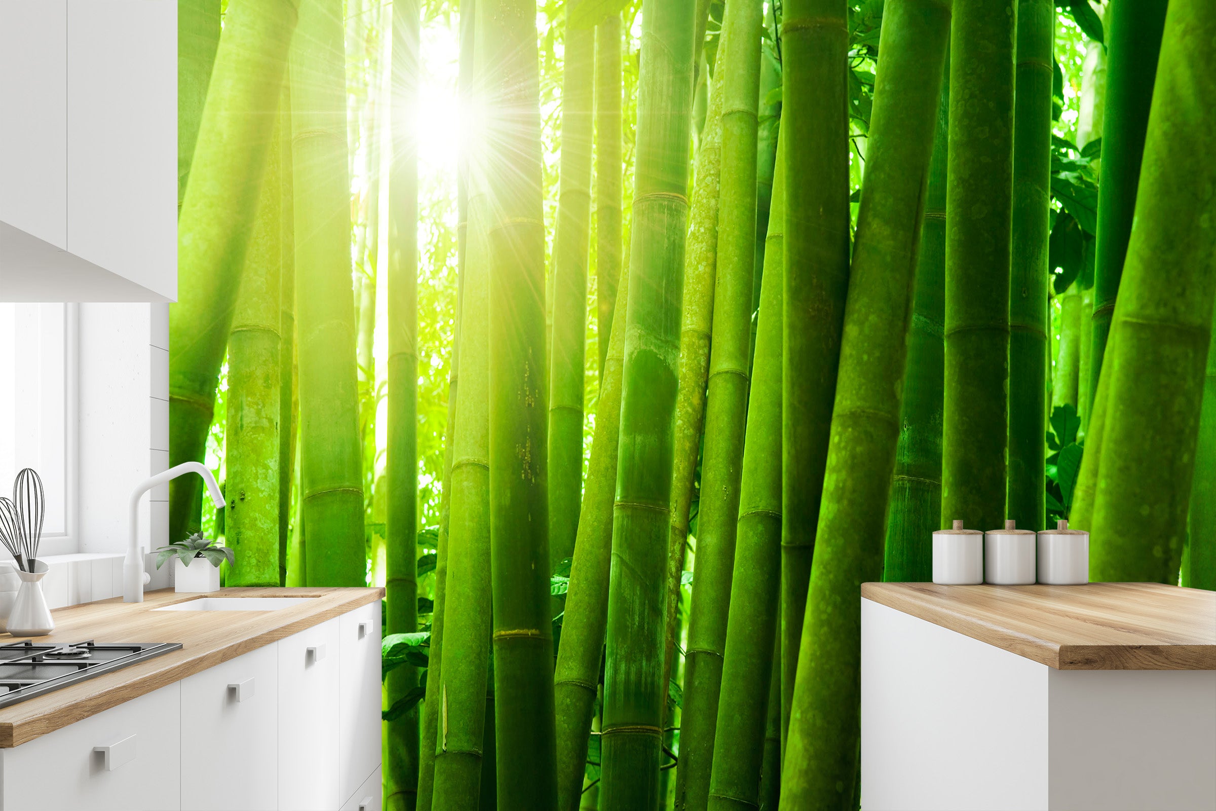 3D Bamboo Forest 1417 Wall Murals
