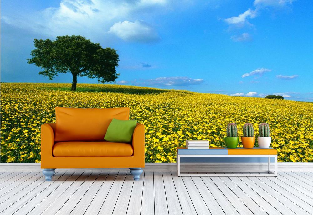 Yellow Camomile Fields Wallpaper AJ Wallpaper