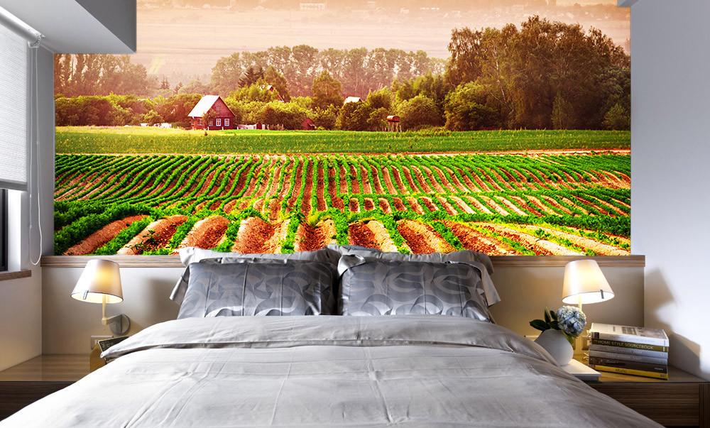 Green Fields Wallpaper AJ Wallpaper