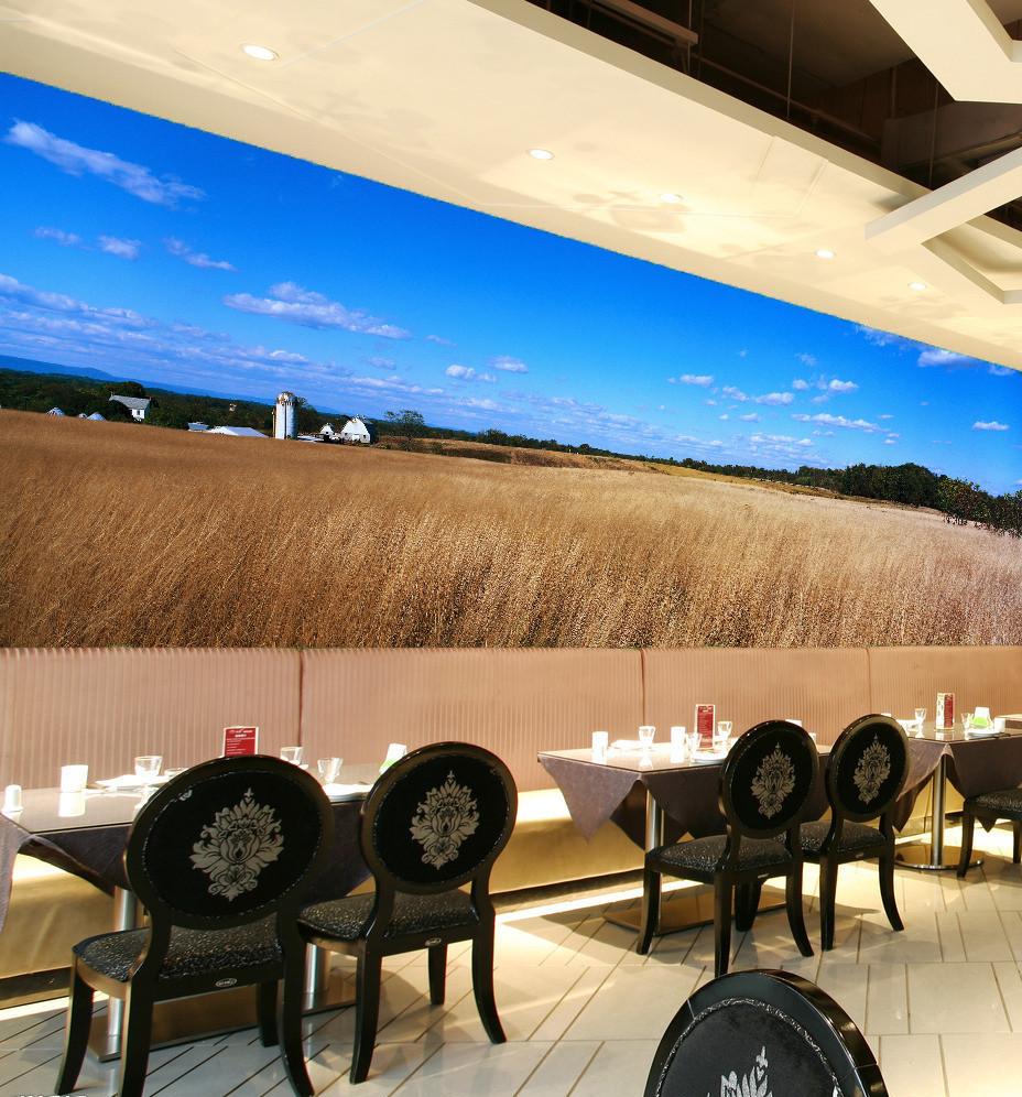 Lush Grass Wallpaper AJ Wallpaper