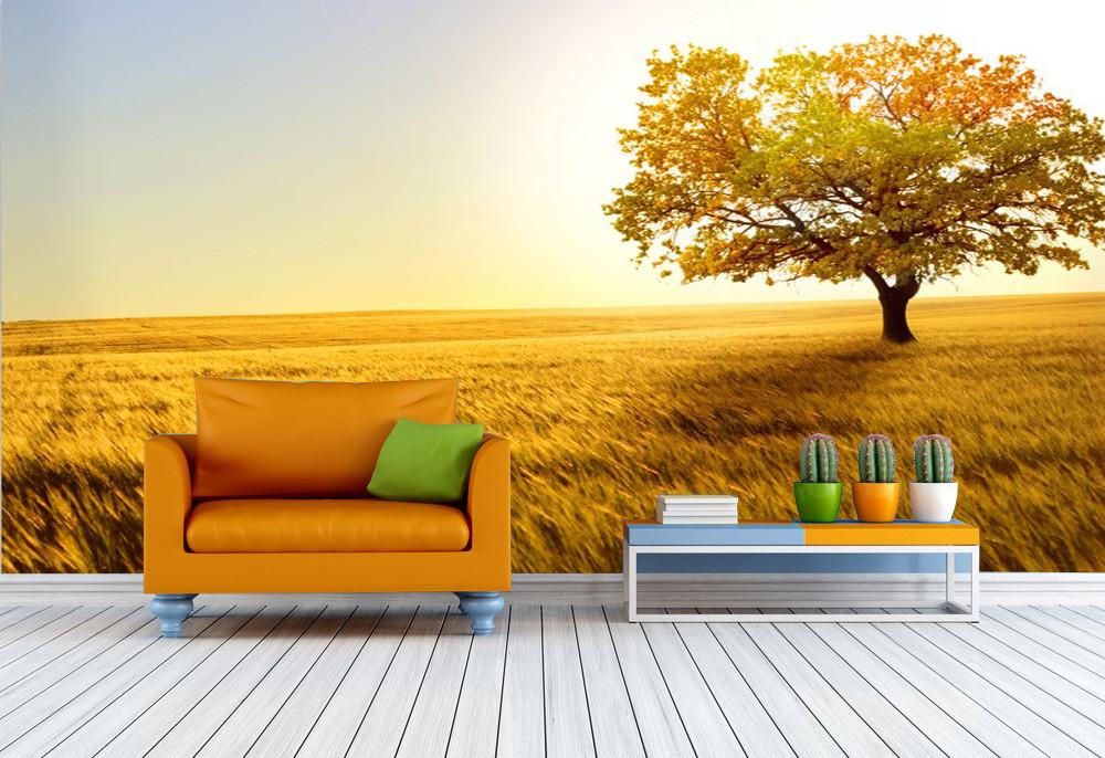 Endless Prairie Wallpaper AJ Wallpaper