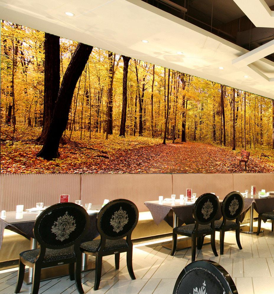 Forest Wallpaper AJ Wallpaper