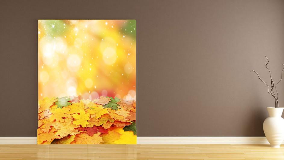 Colorful Leaves Wallpaper AJ Wallpaper