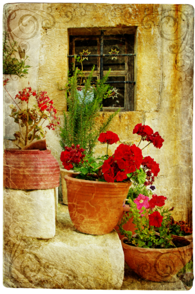 Old Window Wallpaper AJ Wallpaper