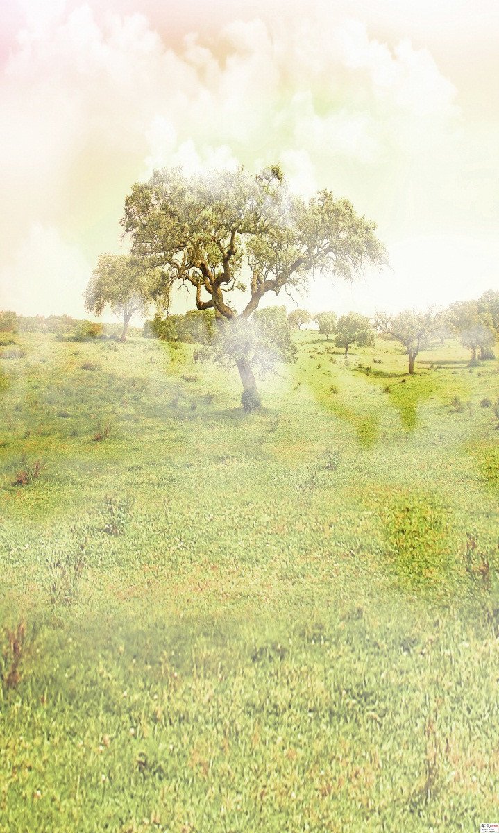 3D Grassland Trees 35 Stair Risers Wallpaper AJ Wallpaper