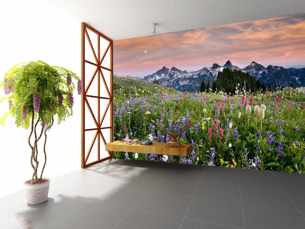 Various Wildflowers Wallpaper AJ Wallpaper