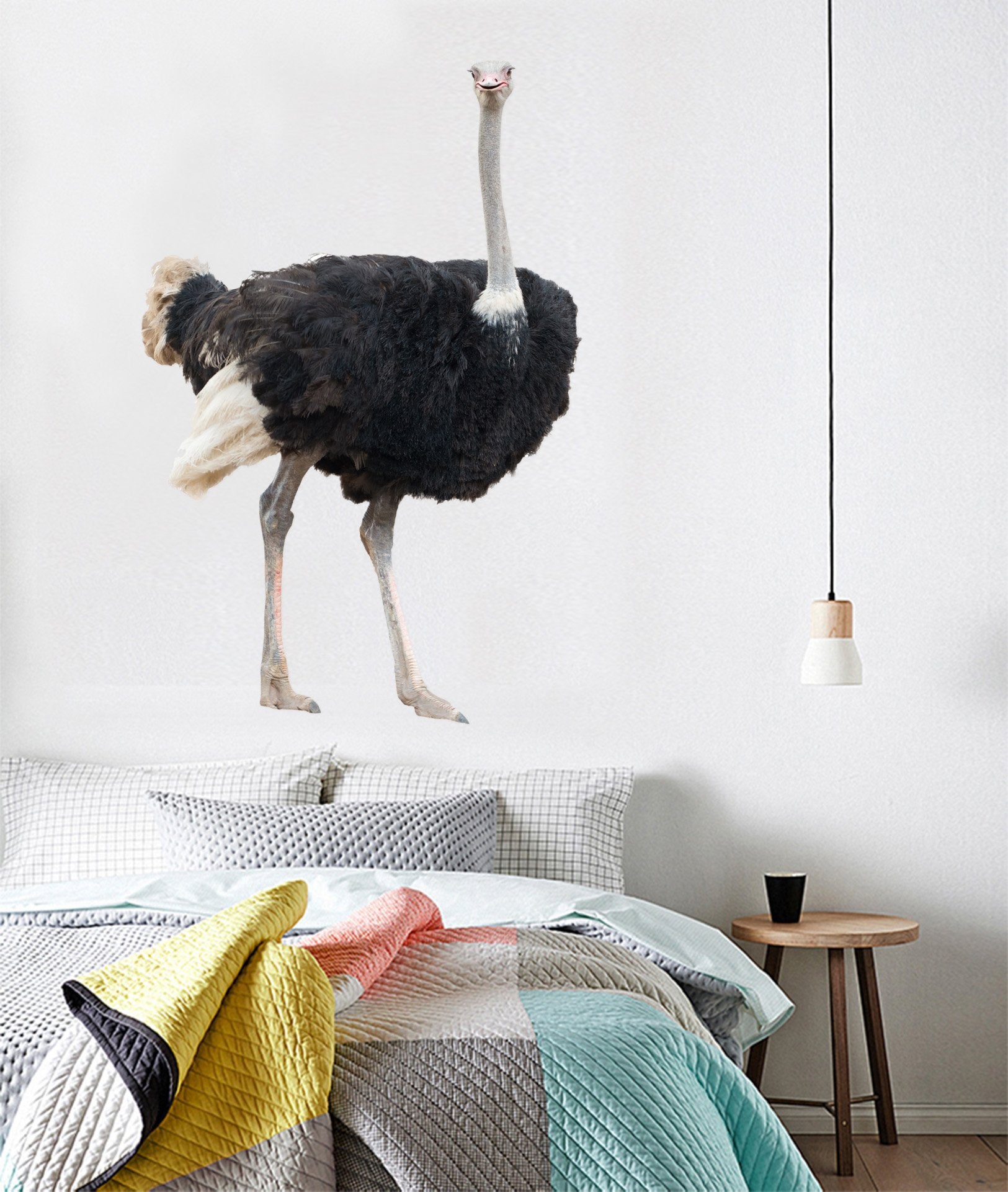 3D Ostrich 200 Animals Wall Stickers Wallpaper AJ Wallpaper