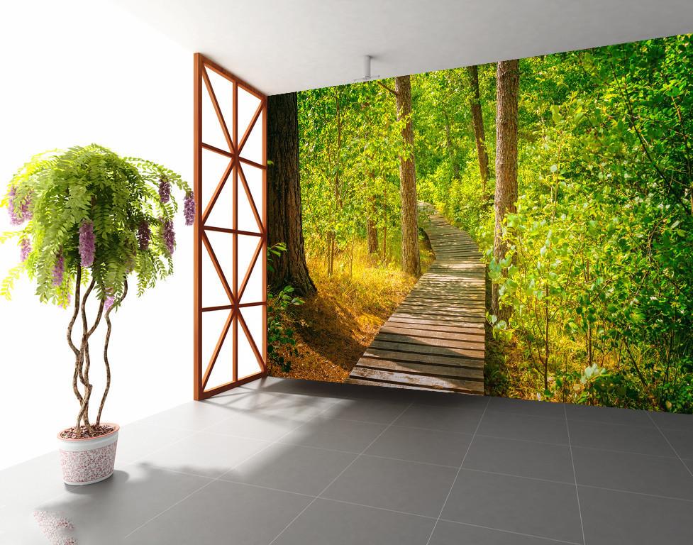 3D Jungle Forest Sunshine 535 Wallpaper AJ Wallpaper