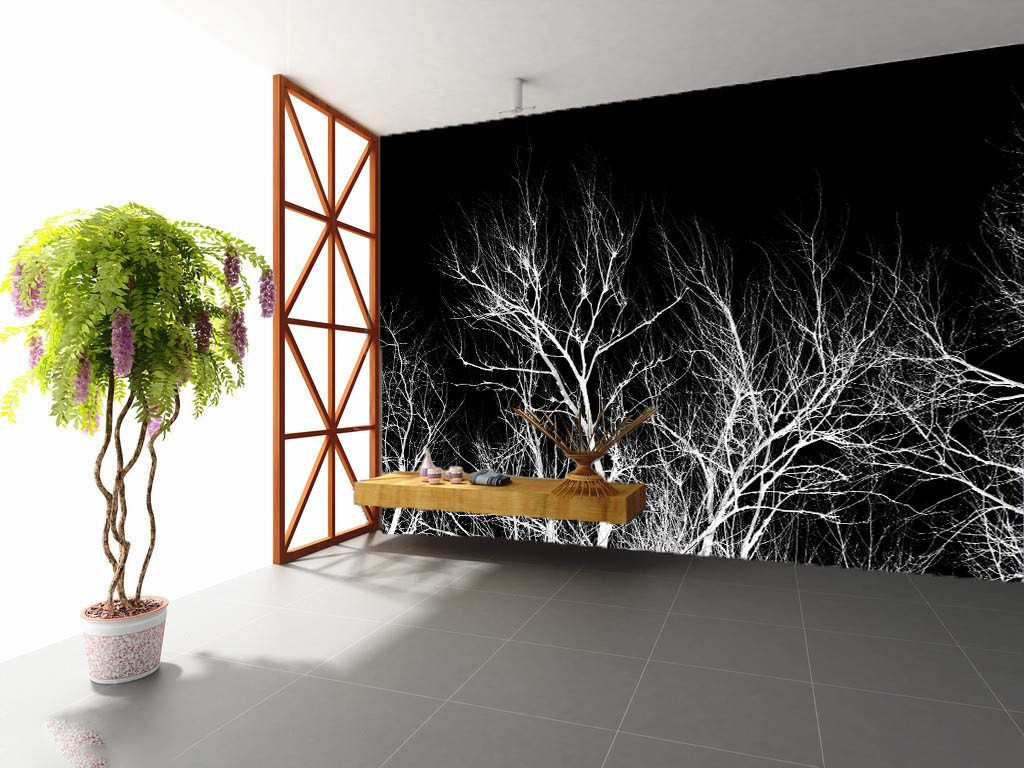 Bare Treetops Wallpaper AJ Wallpaper