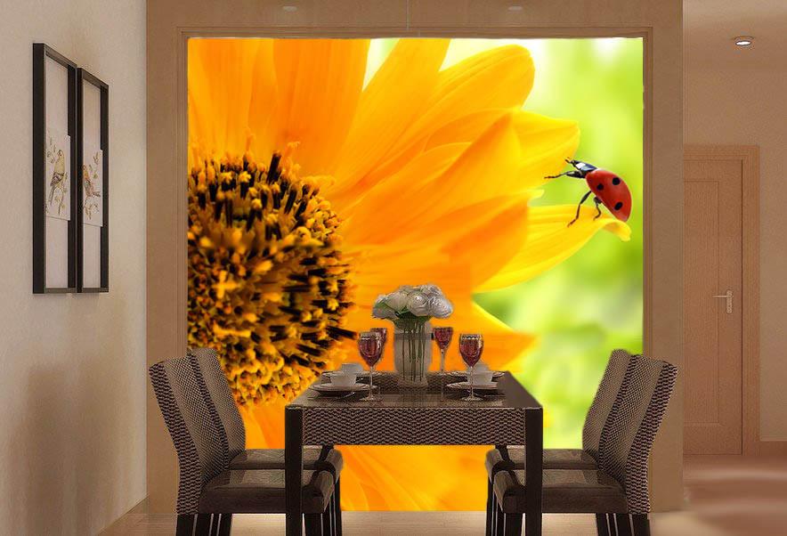 Coccinella Septempunctata Wallpaper AJ Wallpaper