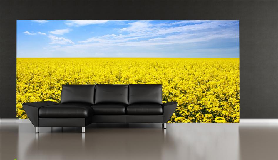 Endless Cole Field Wallpaper AJ Wallpaper