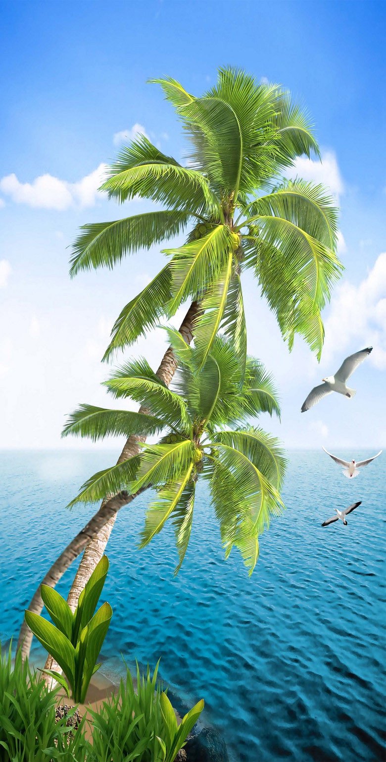 3D Sea Trees Birds 599 Stair Risers Wallpaper AJ Wallpaper