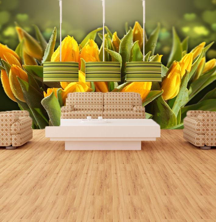 Yellow Tulips Buds 1 Wallpaper AJ Wallpaper