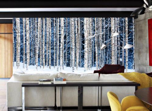 Winter Forest Trunks Wallpaper AJ Wallpaper 2