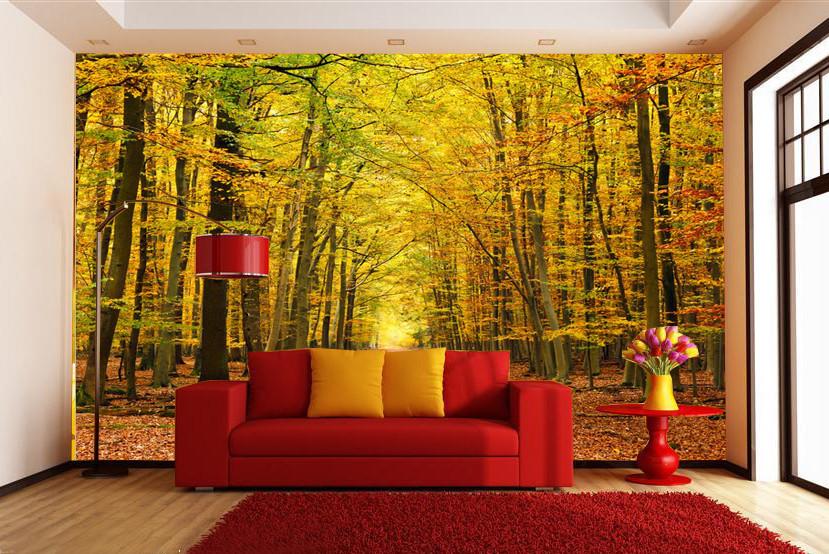 Mountain Path 1 Wallpaper AJ Wallpaper