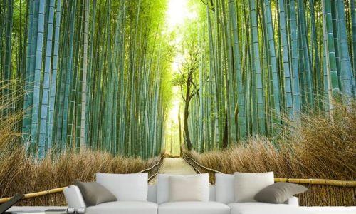 Bamboo Road Wallpaper AJ Wallpaper 2