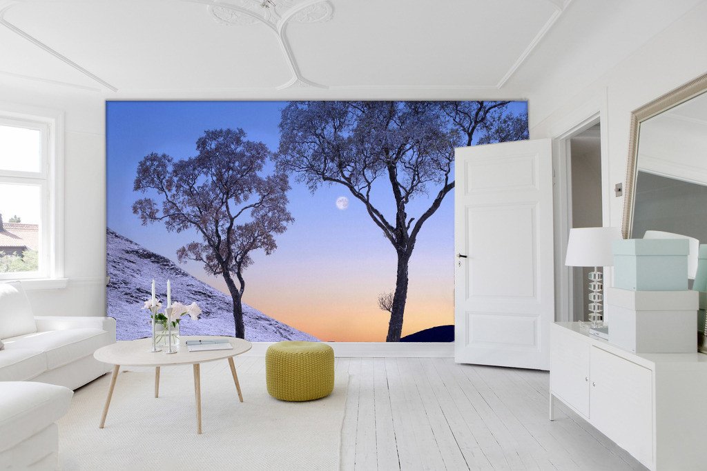 Standing Silver Trees 56 Wallpaper AJ Wallpaper 1