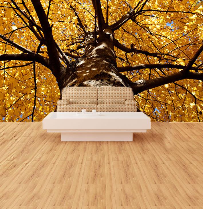 Big Tree 1 Wallpaper AJ Wallpaper