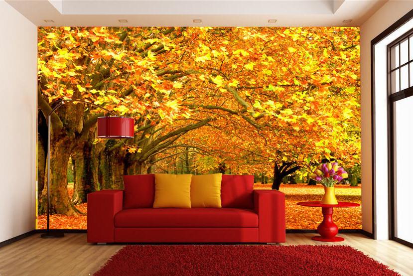 Maple Forest Wallpaper AJ Wallpaper