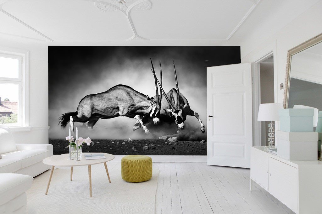 Aggressive Animals Wallpaper AJ Wallpaper