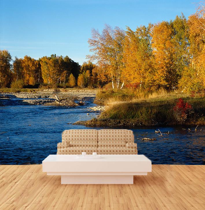 Forest River 2 Wallpaper AJ Wallpaper