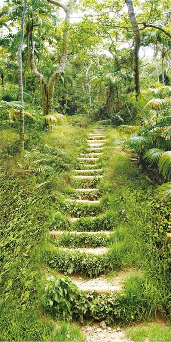 3D Forest Stairs 798 Stair Risers Wallpaper AJ Wallpaper