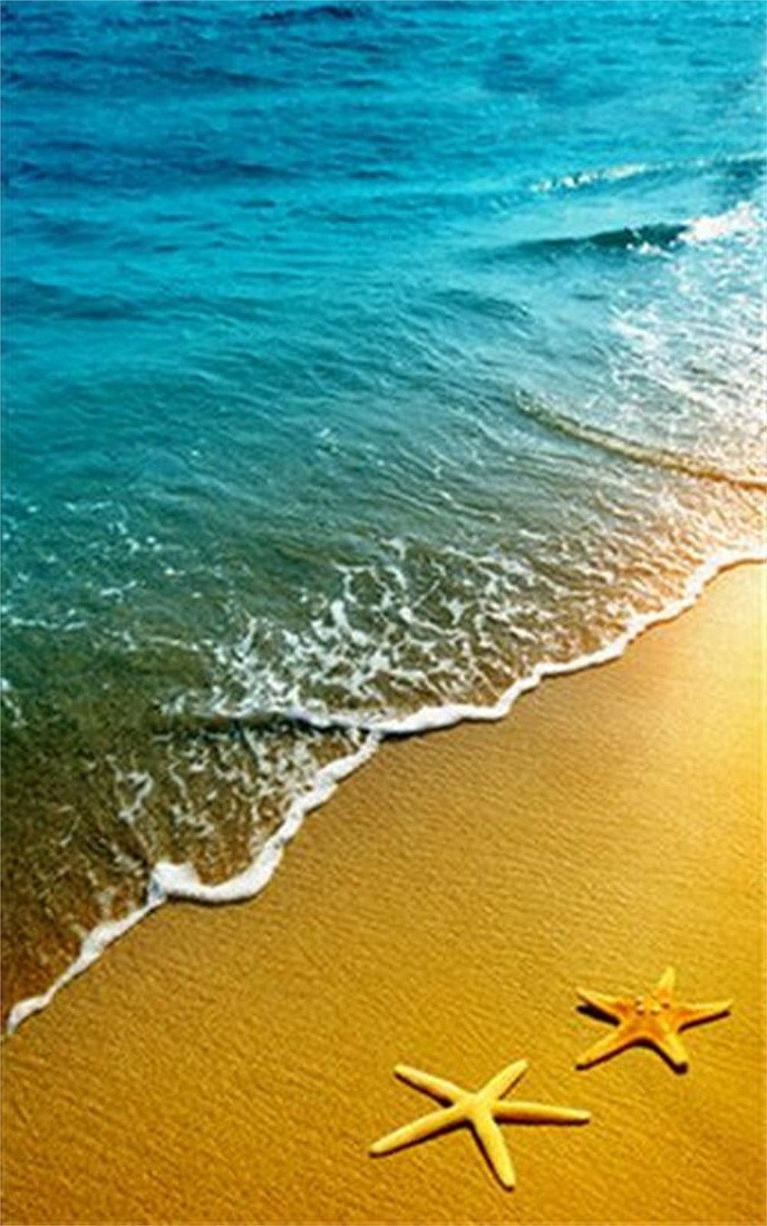 3D Beautiful Beach 797 Stair Risers Wallpaper AJ Wallpaper