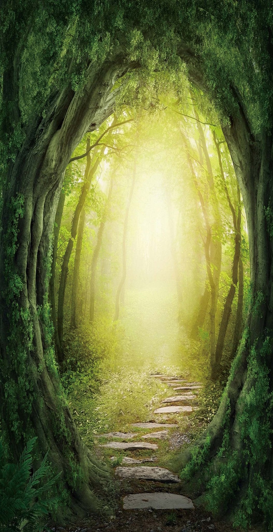 3D Forest Path Sunshine 93 Door Mural Wallpaper AJ Wallpaper