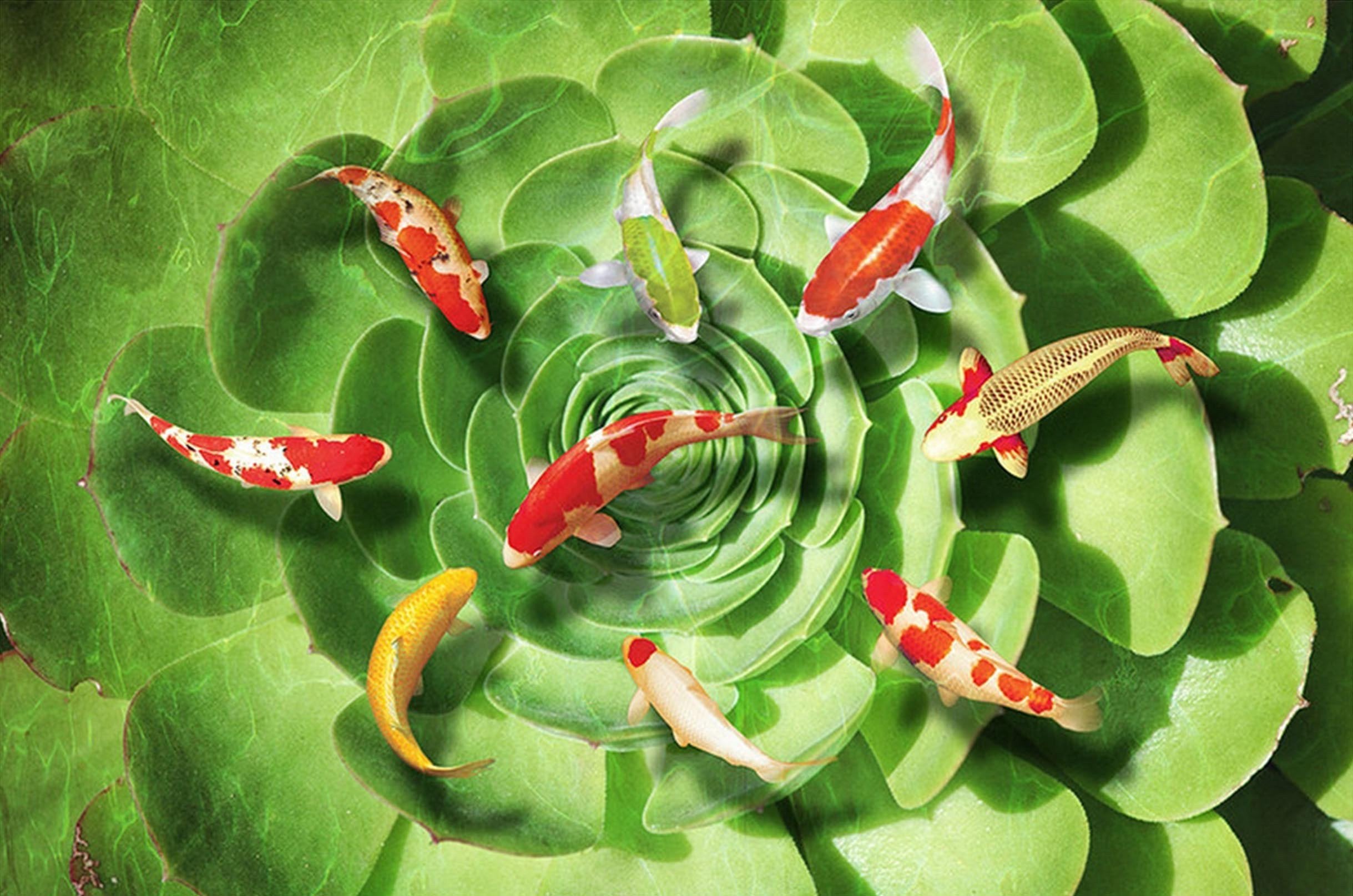 3D Fishes And Plant 170 Kitchen Mat Floor Mural Wallpaper AJ Wallpaper