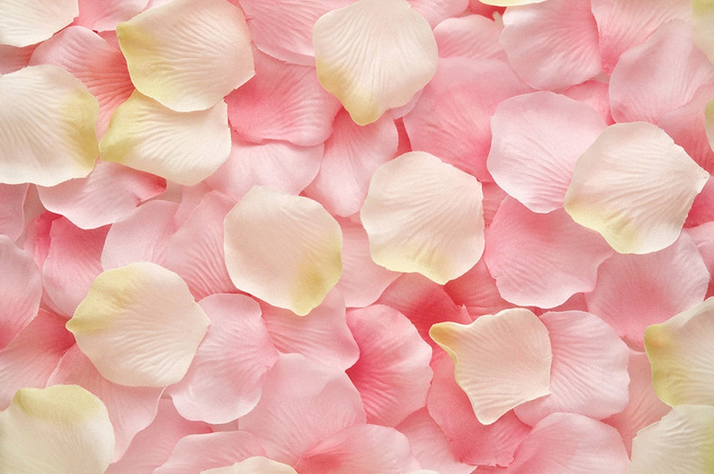 3D Pretty Petals 163 Kitchen Mat Floor Mural Wallpaper AJ Wallpaper