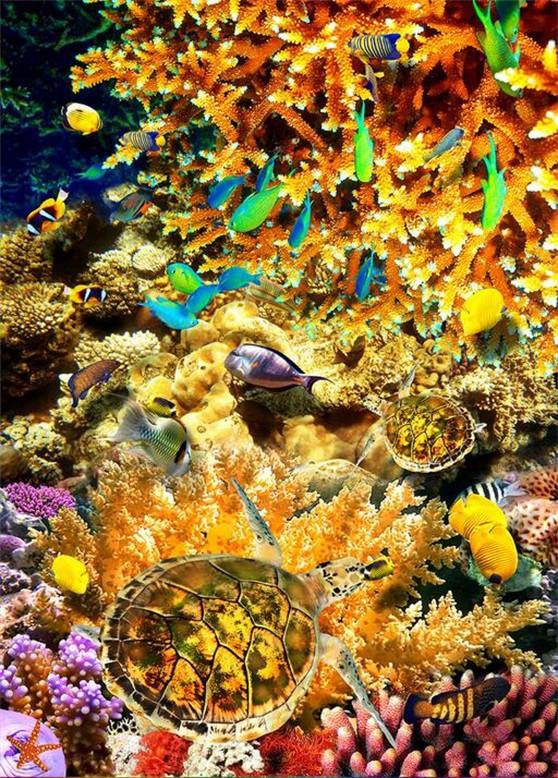 3D Bright Color Seabed 67 Stair Risers Wallpaper AJ Wallpaper