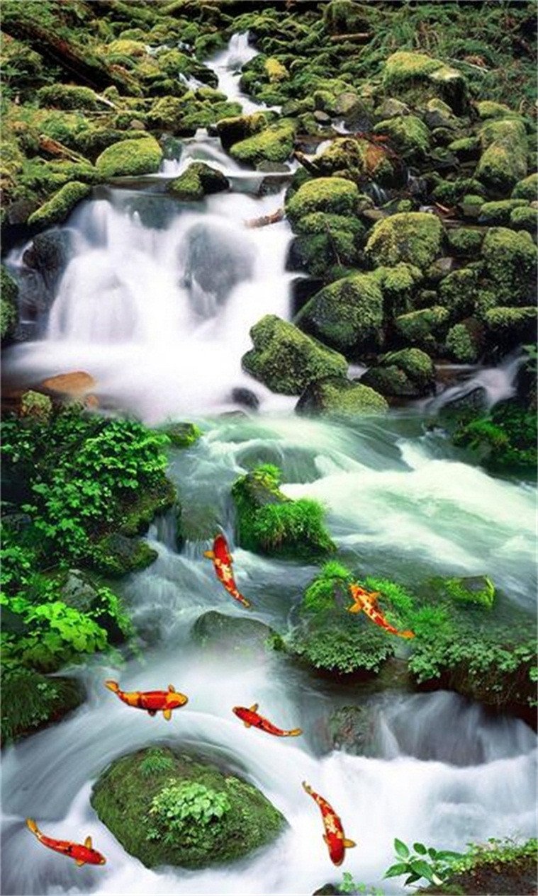 3D Stony Stream Fishes 694 Stair Risers Wallpaper AJ Wallpaper