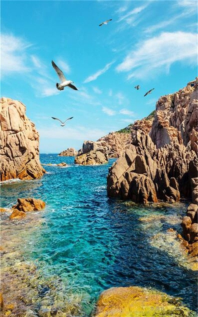 3D Sea Bay Scenery 793 Stair Risers Wallpaper AJ Wallpaper