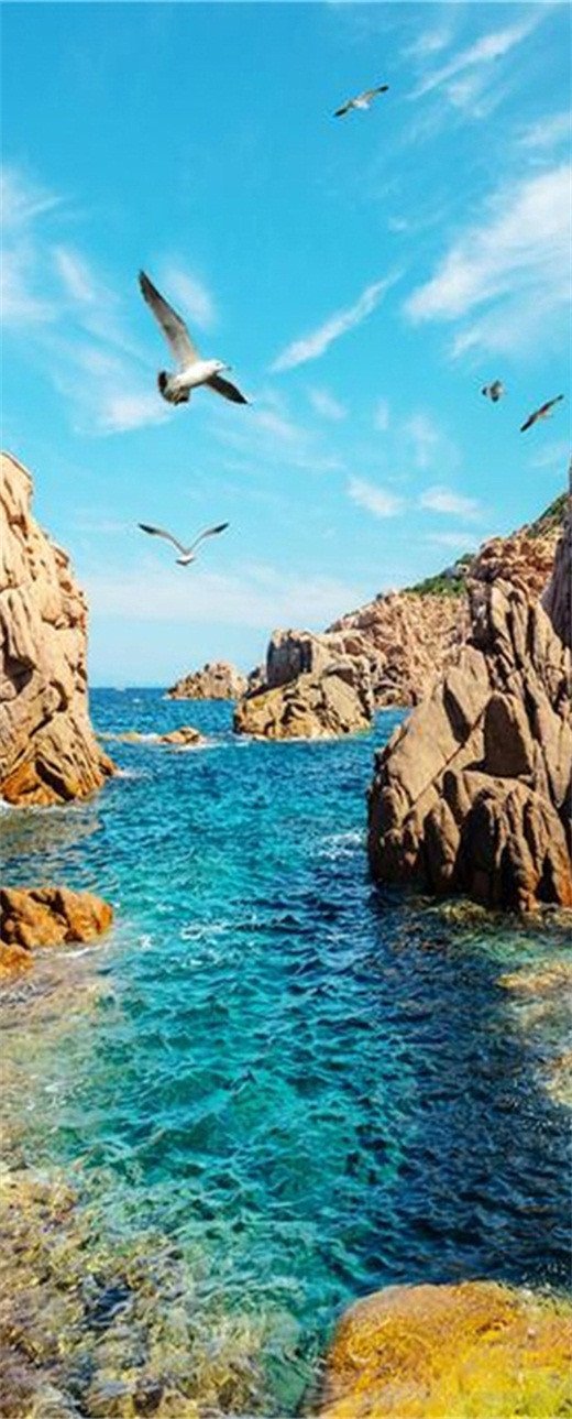 3D sea water and seagulls door mural Wallpaper AJ Wallpaper